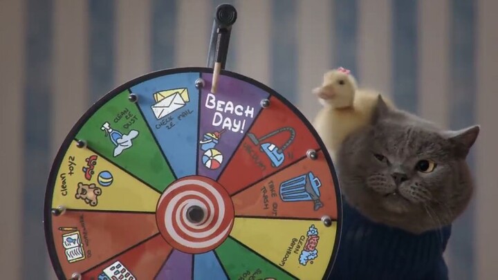 The Cat Who Rescued the Duckling