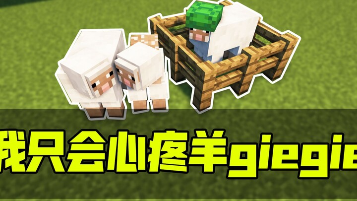 Kenapa domba ini jadi hijau