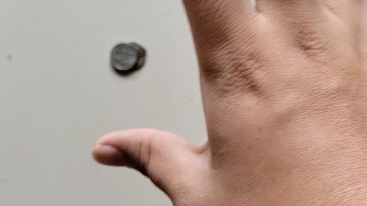 คดีหลอกลวงเก๊กฮวยสำเร็จ