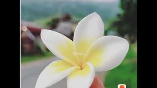 อดีตที่ไม่เคยจางหายไปจากใจฉันแม้ผ่านมาแล้วเนิ่นนาน