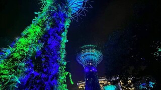 太多人用爱的名义去掌控别人来满足自己匮乏的心。