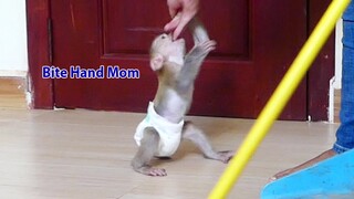 OMG! Baby Maki bite Mom hand because angry Mom not let him Play when cleaning room/Mom very hurtful