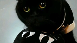 หน้าปกเหมือนเซียนซื่อซื่อส่องกระจกหรือเปล่า?