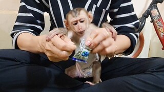 Liheang Watch What Mom Will Give Him To Eat   Baby Liheang Look Very Yummy