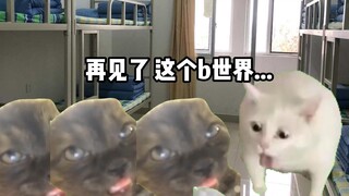 【猫meme】战 螂 3