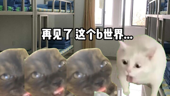 【猫meme】战 螂 3