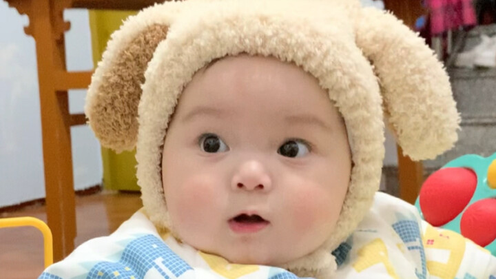 Kelinci kecil ini benar-benar suka melompat-lompat!