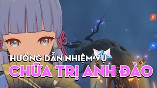 Hướng Dẫn nhiệm vụ thế giới Chữa Trị Anh Đào - 60 nguyên thạch | GENSHIN IMPACT