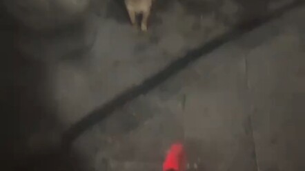 ทำไมมันไม่กินล่ะ?