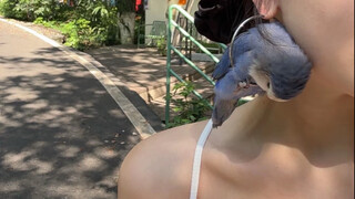 Gần đây giới động vật có chút kỳ lạ