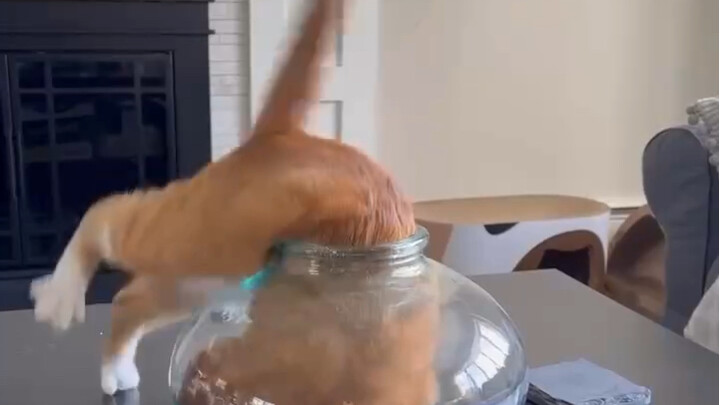 Menggunakan ilmu menyusutkan tulang secara diam-diam di belakang tuannya