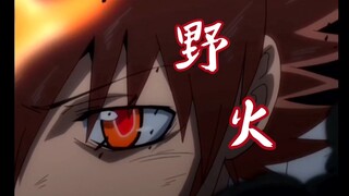 【家庭教师｜沢田纲吉】偏要做不熄灭的野火，点亮天地四合（完整版）