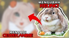 Selamat Tahun Kelinci Air! Mengubah Kelinci Menjadi Cewek Anime - Anime Drawing 5