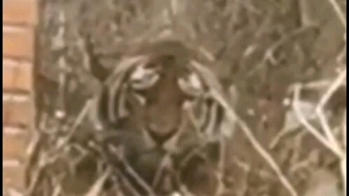 关于完达山一号的那些事