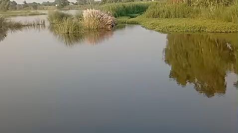 🐠 fishing ki tyari#fish