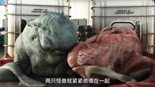 怪兽都有对象了，你还是一个人