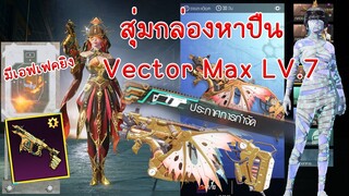 EP.161 สุ่มกล่องปืน Vector Lv.7 มีเอฟเฟคยิงการันตี 120 กล่องได้ปืนแน่นอน สปอยชุดมัมมี่ | PUBG MOBILE