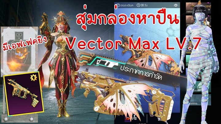 EP.161 สุ่มกล่องปืน Vector Lv.7 มีเอฟเฟคยิงการันตี 120 กล่องได้ปืนแน่นอน สปอยชุดมัมมี่ | PUBG MOBILE