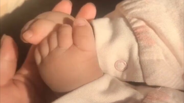 "Can we braise the 'jiojio' of human babies yet?"