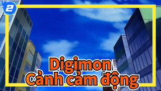 Digimon|【Mùa I】Cảnh cảm động_2