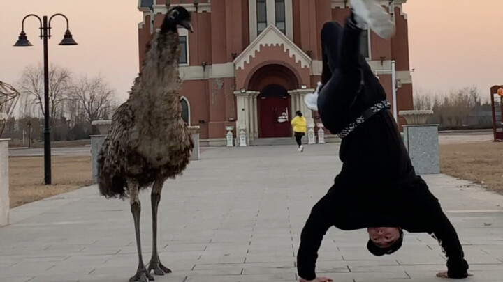 Đây là nhịp điệu tìm kiếm tôi để nhảy, tôi không bao giờ mong đợi nó