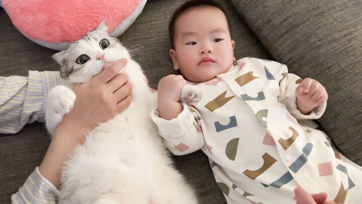 Cuộc gặp gỡ của các bé! Em bé nhỏ cứ mãi nắm tay chú mèo