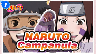 NARUTO|Campanula——I will always be watching you!_1
