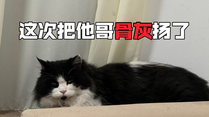 ทำเรื่องวุ่นอีกแล้ว