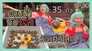 อาบน้ำกับลูกเต่ายักษ์ซูคาต้าในวันเต่าโลก ทาสเต่าจงเจริญ EP.30