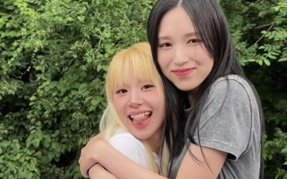 MISAMO Debut Song "Do Not Touch" Dance Challenge Compilation