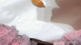 牙套人为了口腹之欲买了嗑瓜子神器[花园花铃表情包_喝茶]