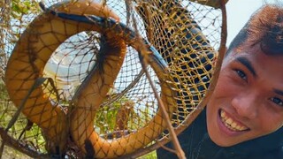 Những Bất Ngờ Từ Đầm Lầy Khi Anh Em Đi Thu Hoạch Những Cái Bẫy