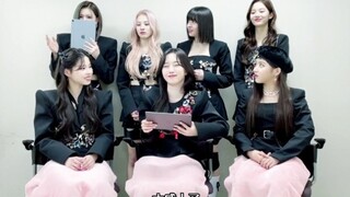 【中字】第一次出道爆哭的Bae，NMIXX 3.1直播全程