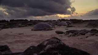 [Tập 6 - Thuyết Minh] Câu chuyện cuộc sống - Life Story (2014) S01E06: Parenthood