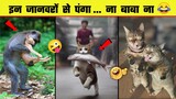 🤣😜 इन जानवरों से पंगा ना बाबा ना | Funny Animal Videos 2024 - Part 12