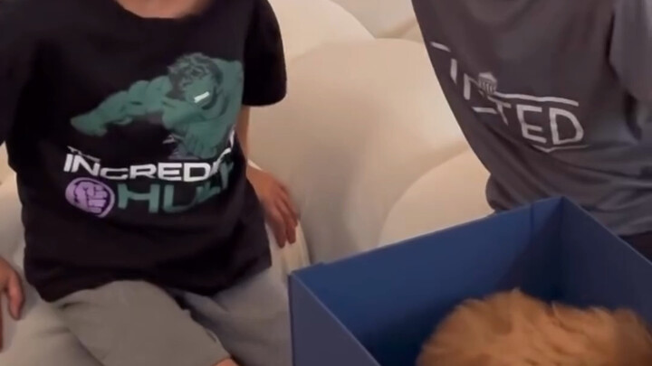 When the little brother finally got a real puppy, he burst into tears—but the big brother’s reaction
