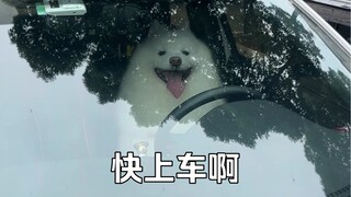 วันนี้เรียกรถแท็กซี่เจอรถหรูของเย่เย่ ที่ไหนได้มันกลับให้ฉันขับเอง ฉันไม่กล้าขึ้นไปเลยล่ะ