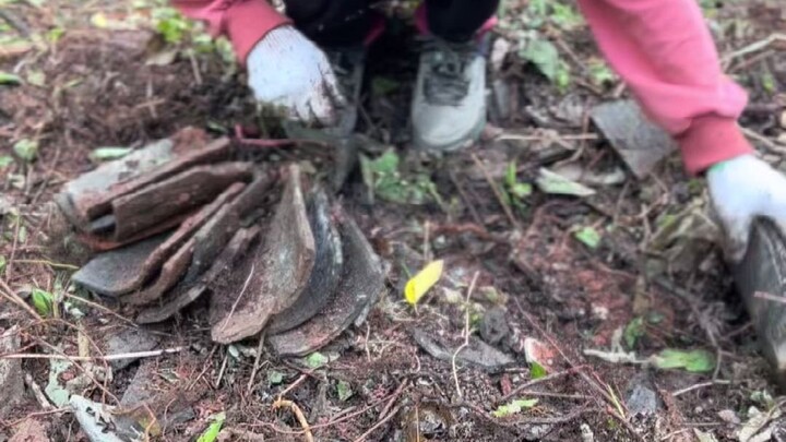 我爸90年代修建的豪宅没有花钱，出动半村人帮忙建造，老房改造-清理小院半月完整版，看完真的太解压了！