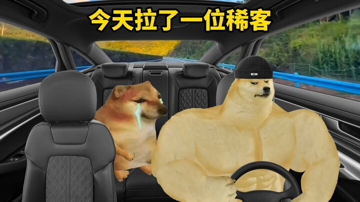 Hari ini kedatangan tamu langka, seru banget!