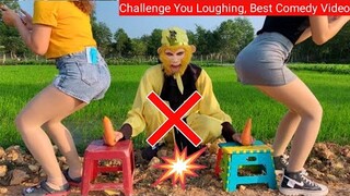 Funny Videos 2020 Try Not To Laugh Challenge