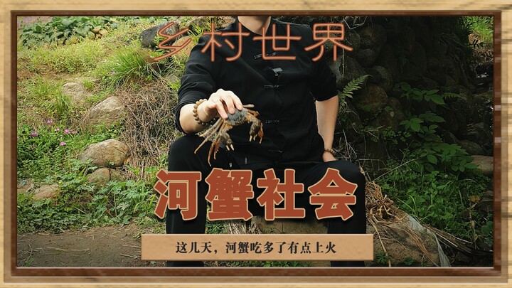 Crab-tight society—crabs, it’s all about harmony~ #ZehuaJun’s Country Life #Rural Idyll #Outdoor Far