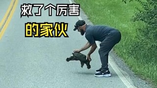 Amazing animal videos!