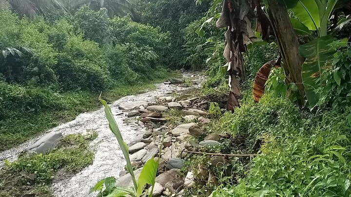 clear water in Orogon mining