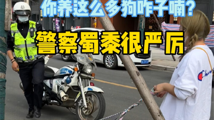 (หมาคอร์กี้ห้าตัว) ทุกคนโปรดระวังความปลอดภัยในการเดินทางด้วยนะคะ