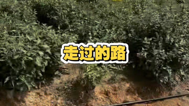 Lagi pengin keluar nih