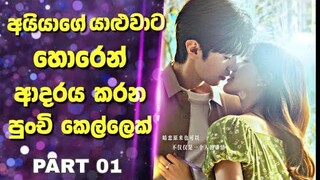 Hidden Love | අයියාගේ යාළුවාට හොරෙන් ආදරය කරන පුංචි කෙල්ලෙක් | Chinese Drama sinhala Review | Recap