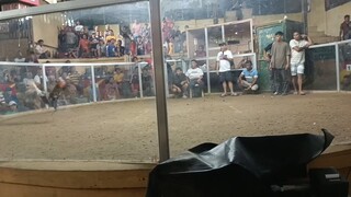 Galing ng kanaway dali manok ko don😂