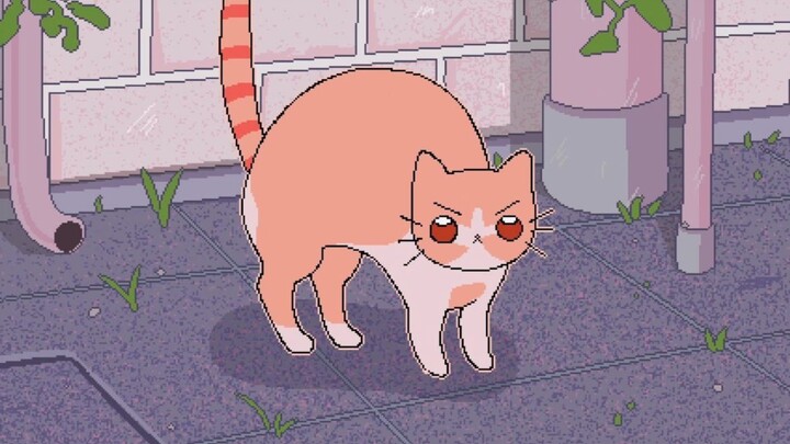 [Chinese-Japanese Lyrics / Full Version] ACANE’s Self-Accompanied New Song “Katachi” — “It’s Fine If