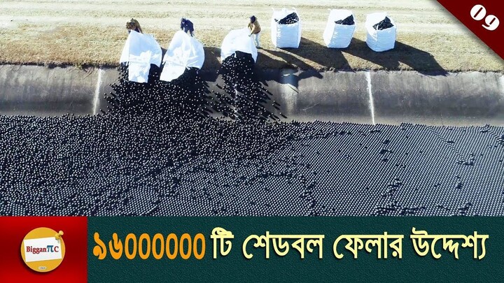রিজার্ভারে শেড বল ফেলার উদ্দেশ্য Shade Balls purpose in bangla with animation