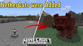 Minecraft but Nethercats were Added